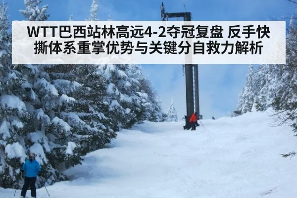 WTT巴西站林高远4-2夺冠复盘 反手快撕体系重掌优势与关键分自救力解析